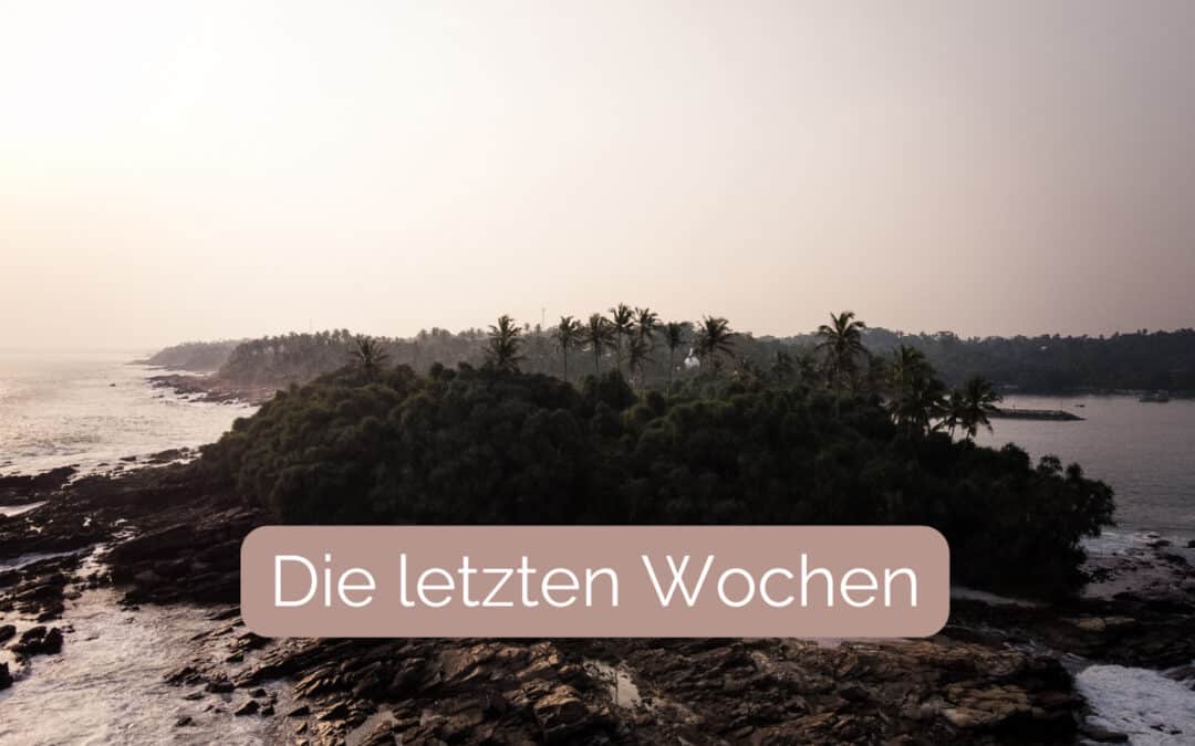 Die letzten Wochen vor Abflug – eine Chronologie 📜