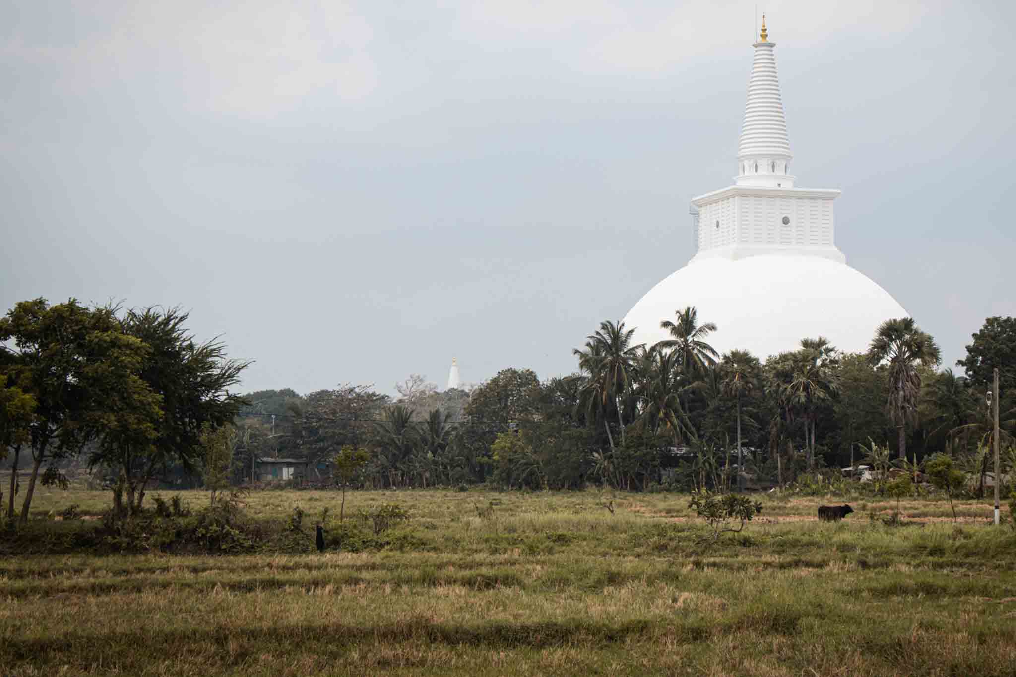 Sri Lanka - Reisevorbereitung