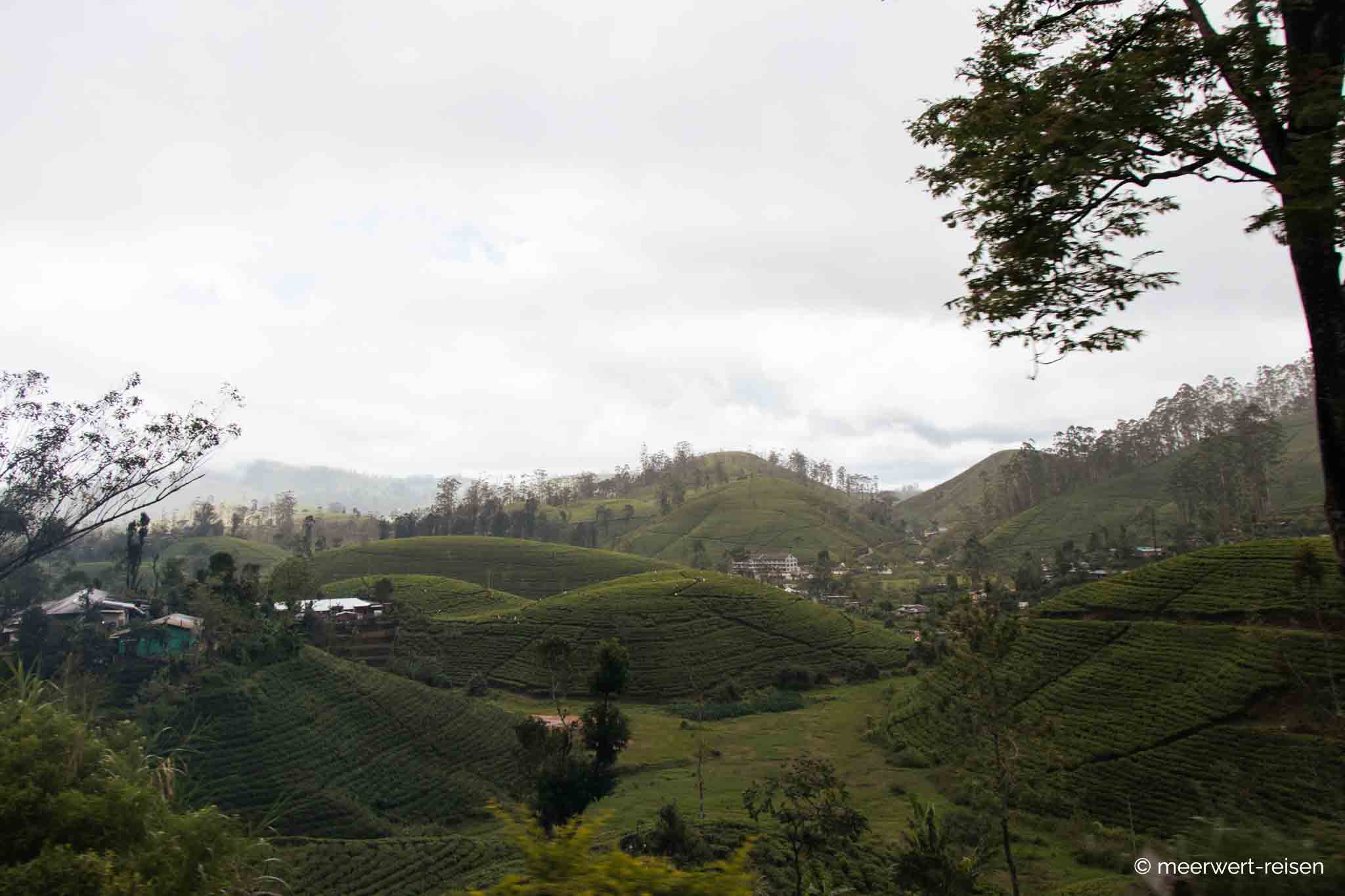 Sri Lanka - Sehenswürdigkeiten - Zugfahrt Kandy nach Ella