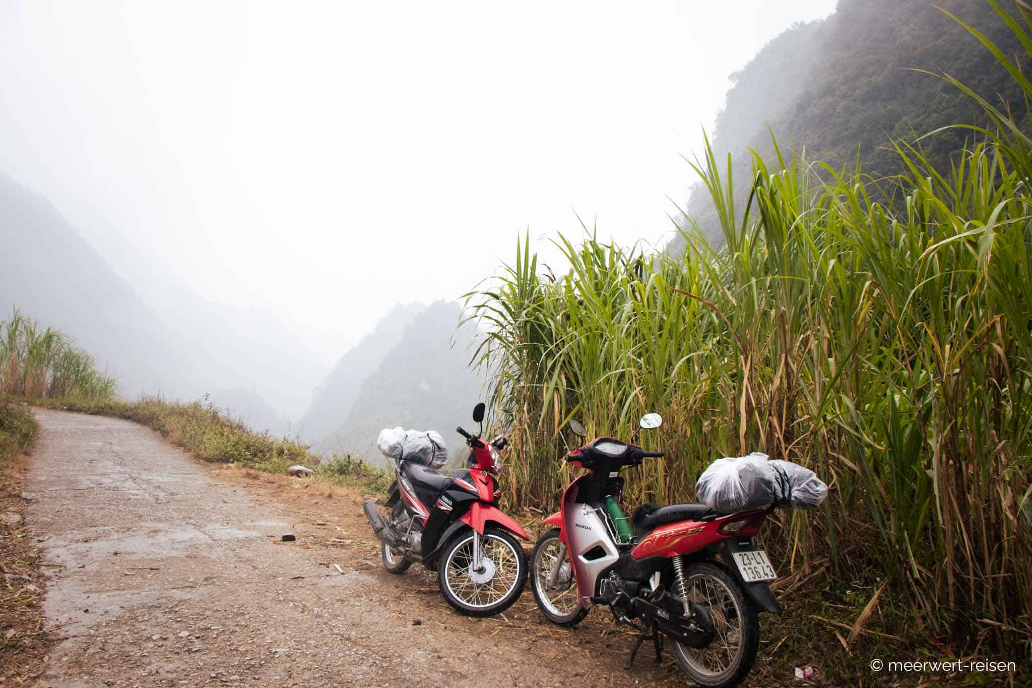 Vietnam - Fortbewegung - Moped kaufen Vietnam - Fortbewegung - Moped kaufen