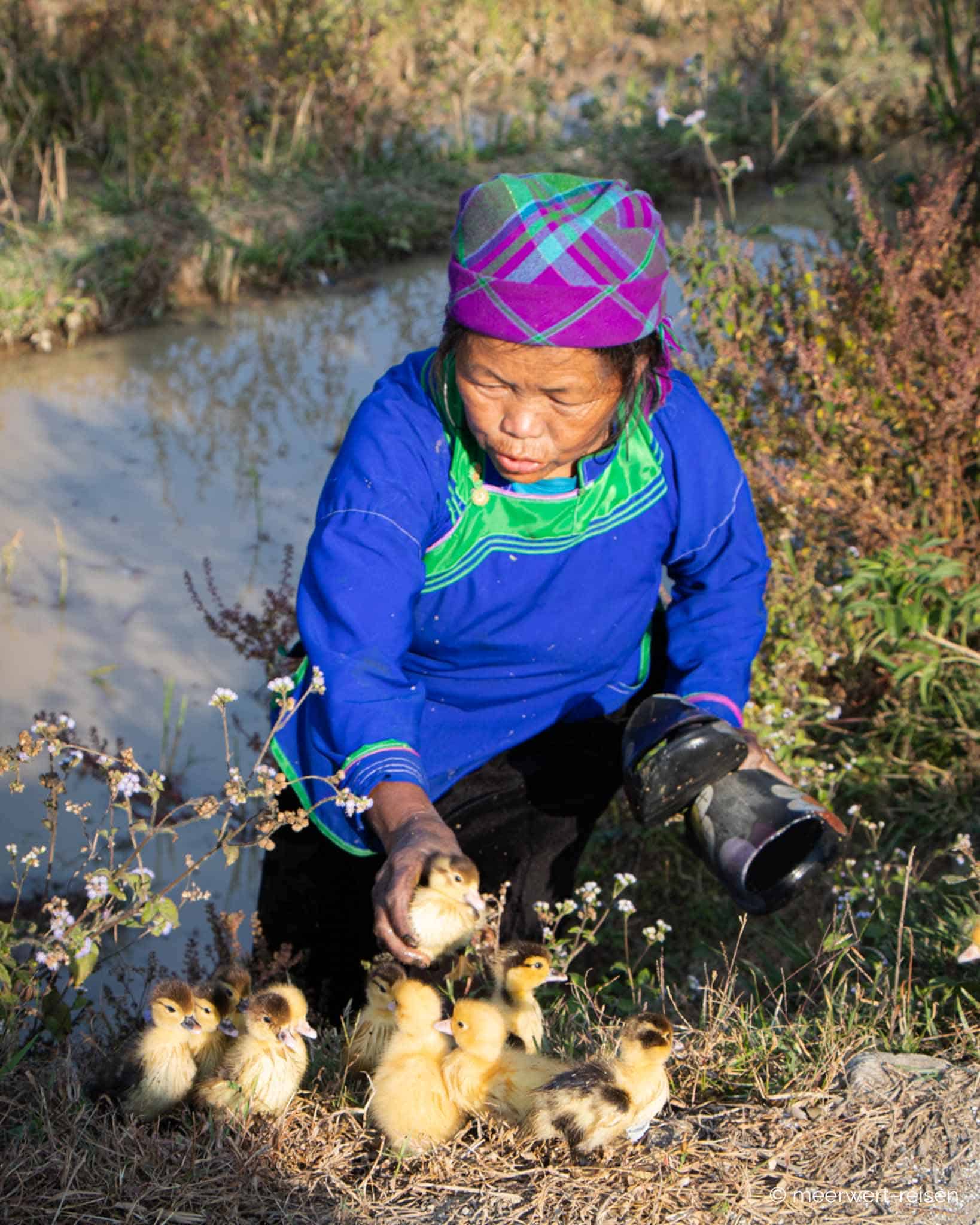 Vietnam Sehenswürdigkeiten - Hmong Frau Vietnam Sehenswürdigkeiten - Hmong Frau