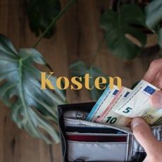 Kosten - Weltreise
