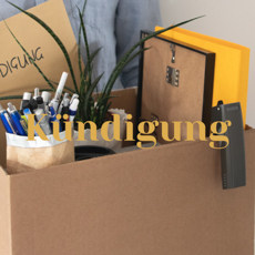 Kündigung - Weltreise