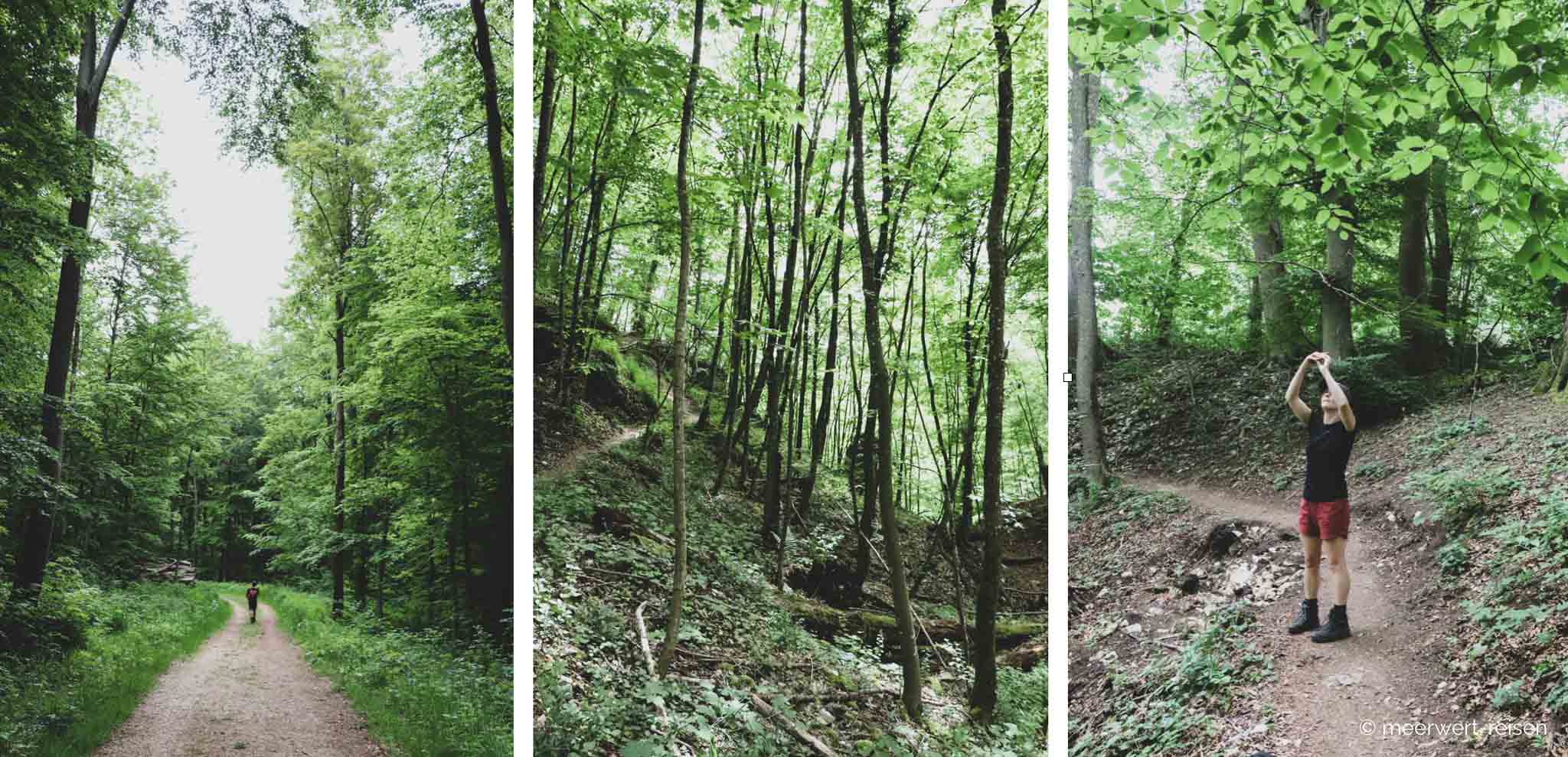 Löwenpfade - Filstalgucker Löwenpfade - Filstalgucker