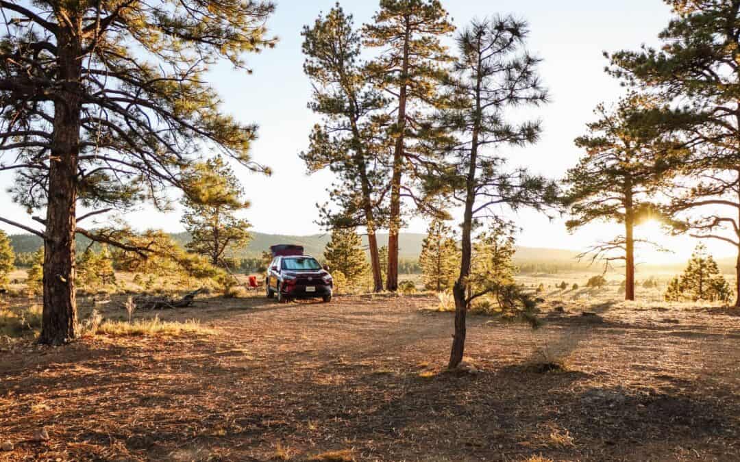 Im Auto schlafen • USA Roadtrip • Erfahrungen, Infos, Tipps