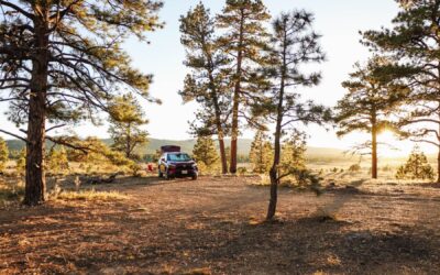 Im Auto schlafen • USA Roadtrip • Erfahrungen, Infos, Tipps