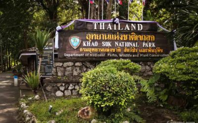 Der Khao Sok Nationalpark – Wanderung durch den Dschungel